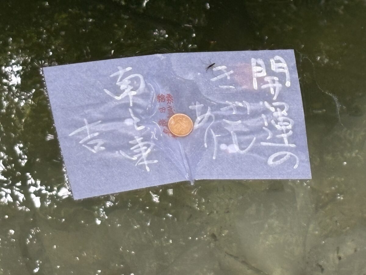 奥の院 鏡の池